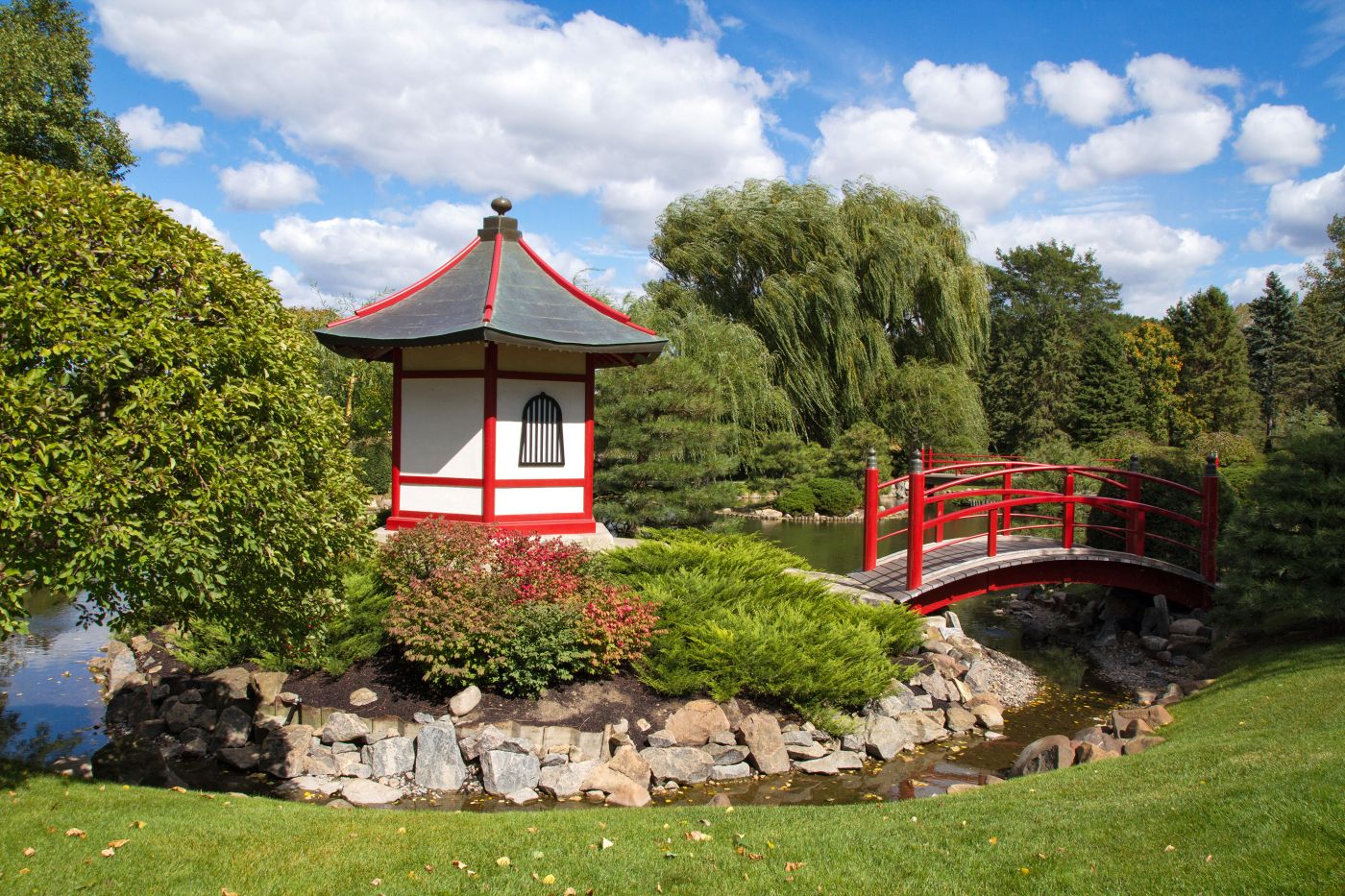 Normandale Japanese Garden with 50th Anniversary logo